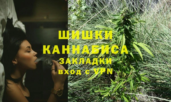 эйфоретик Арсеньев