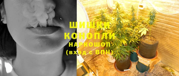 эйфоретик Арсеньев