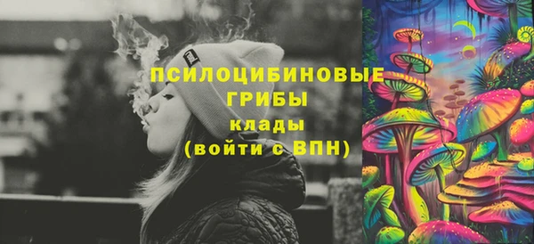 эйфоретик Арсеньев