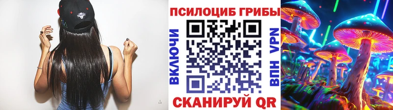 Псилоцибиновые грибы GOLDEN TEACHER  где можно купить наркотик  Дорогобуж 